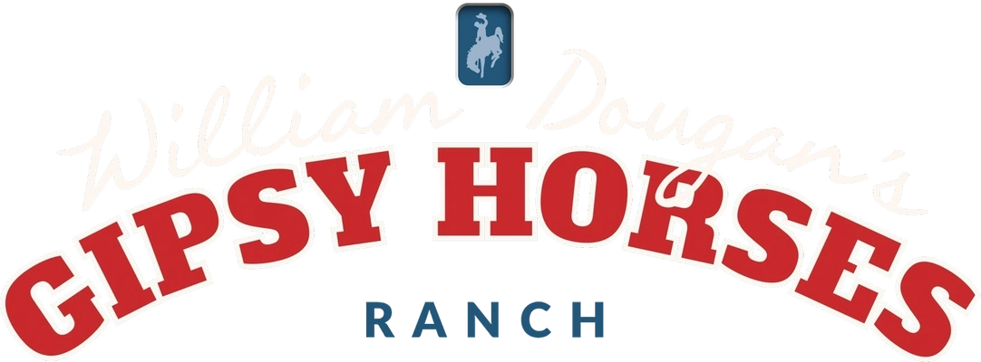 Gipsy Horses Rodeo Cowboys Association